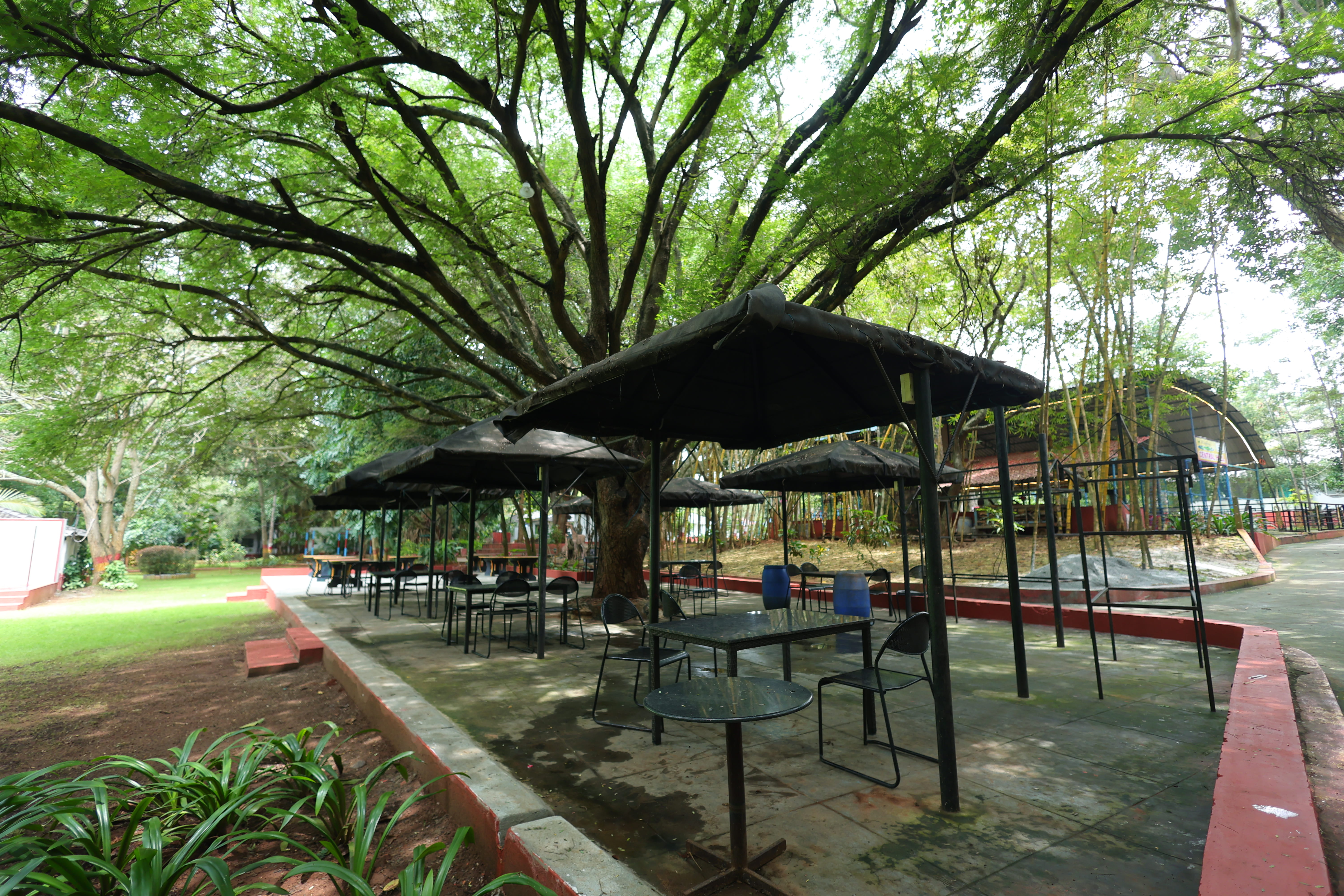peaceful riverbank at nature resort near Bangalore